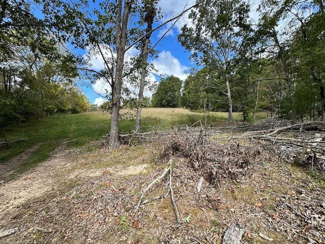 621 Point Pleasant Rd, House other with 2 bedrooms, 1 bathrooms and null parking in BLAND VA | Image 25