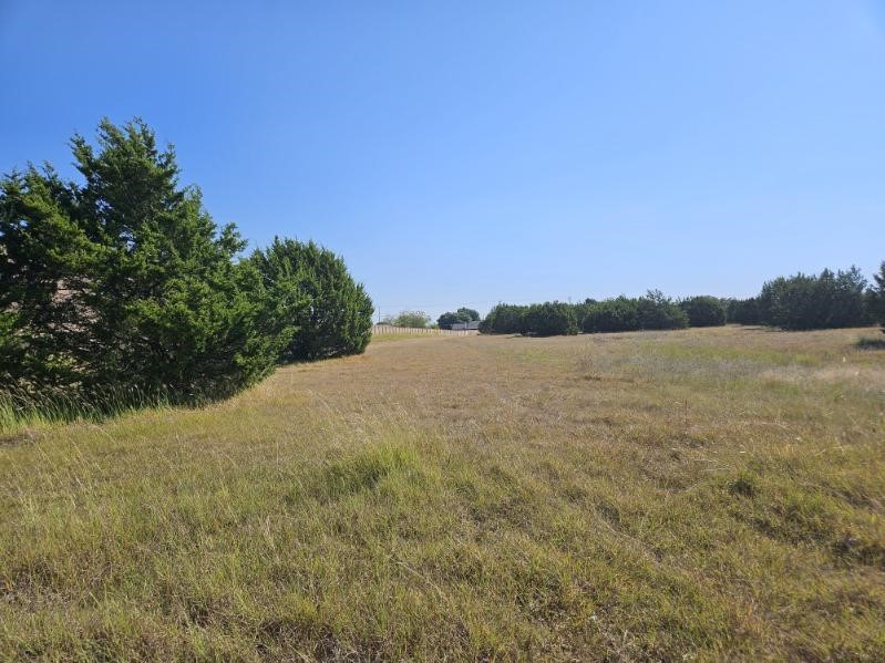 Land in Cedar Hill 4