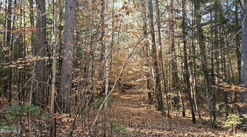 183 Mountain Path, North Creek, NY, 12853 | Card Image