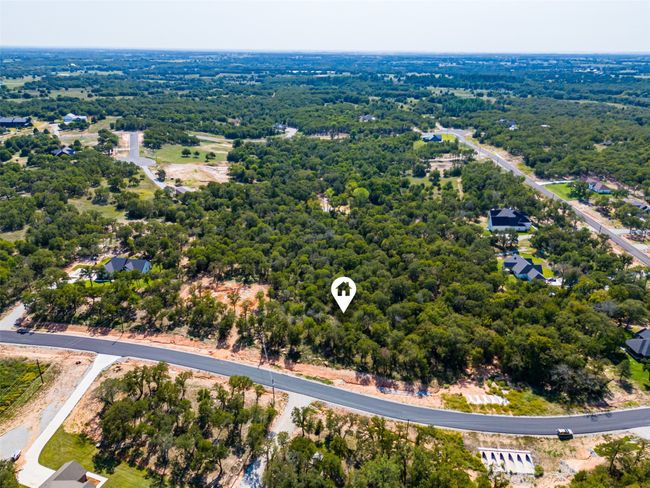 Bird's eye view of a forest | Image 11