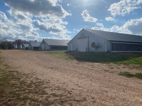 000 Bozarth Cemetery Rd, Gentry, AR, 72734 | Card Image