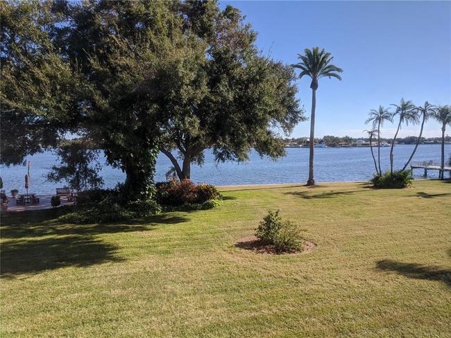 view from sunroom | Image 19