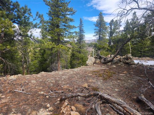 Vacant Land on Fools Gold Road, Idaho Springs, CO, 80452 | Card Image