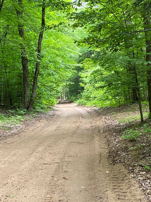 Parcel 3 Stark Road, Chestonia Township, MI, 49676 | Card Image