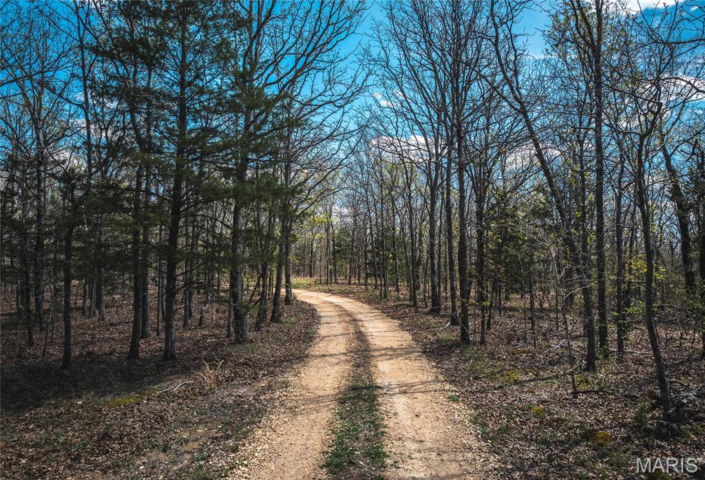 Land in Steelville 3