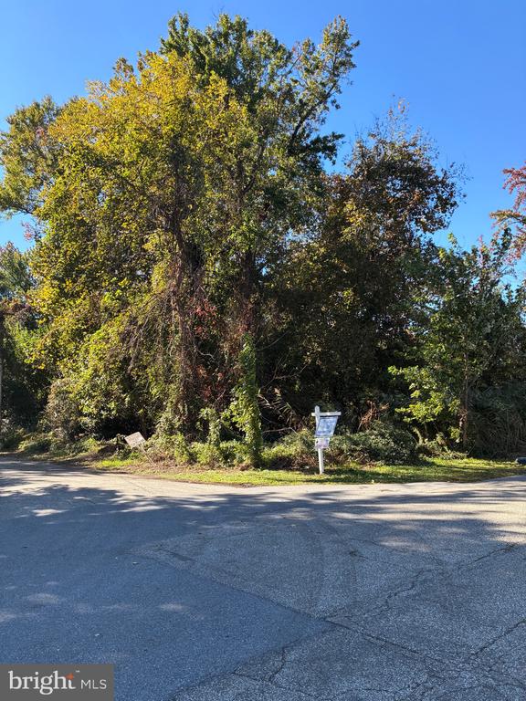 Land in PASADENA