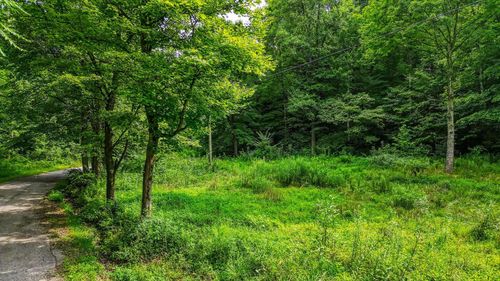 0 Shoemaker Rd, Latham, OH, 45646 | Card Image