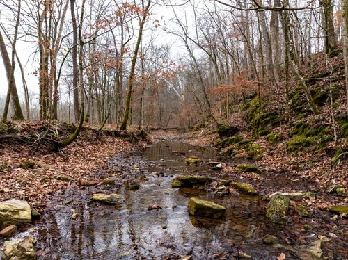 0 Shelter Branch Rd, Cumberland Furnace, TN, 37051 | Card Image