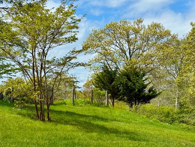 C - 19-C Old Woods Rd, House other with 4 bedrooms, 3 bathrooms and null parking in Chilmark MA | Image 33