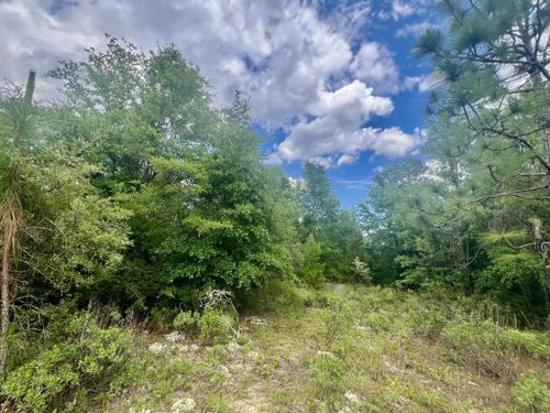 LOT 96 Ottawa Ct, Alford, FL, 32420 | Card Image