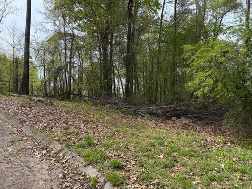 Lot 6 John Spears Way, Sevierville, TN, 37876-0174 | Card Image
