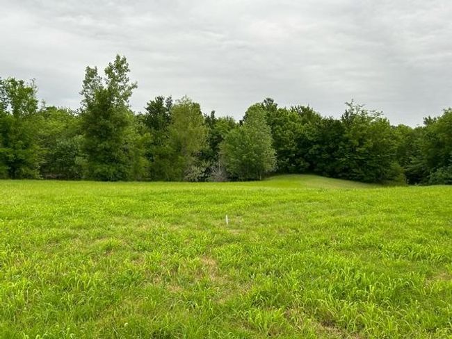 Image | Image 10