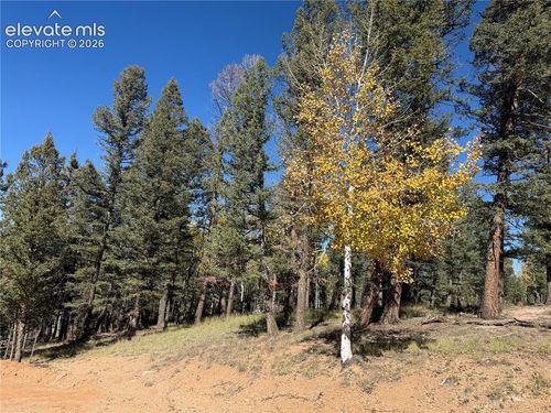 37 Serenity Circle, Florissant, CO, 80816 | Card Image