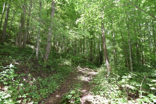 23769 State Route 327, Laurelville, OH, 43135-9281 | Card Image