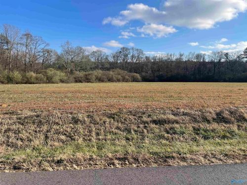 34.2 Acres Blessing Road, Boaz, AL, 35957 | Card Image