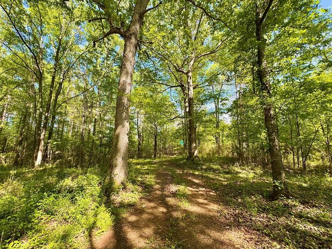 0 Ga Highway 87, Home with 0 bedrooms, 0 bathrooms and null parking in Juliette GA | Image 21