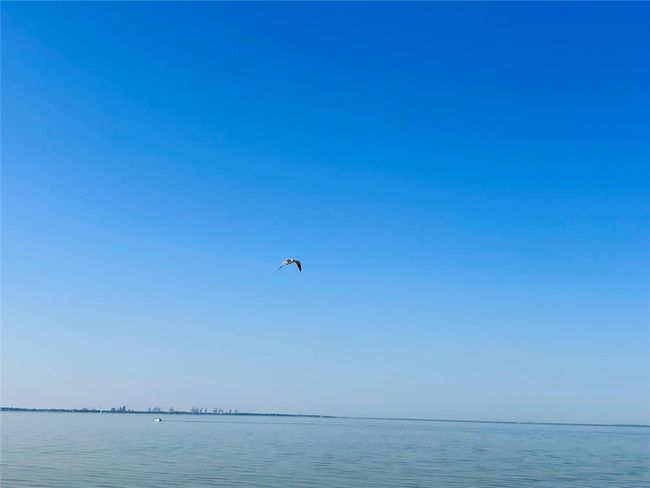 Waterfront | Image 49