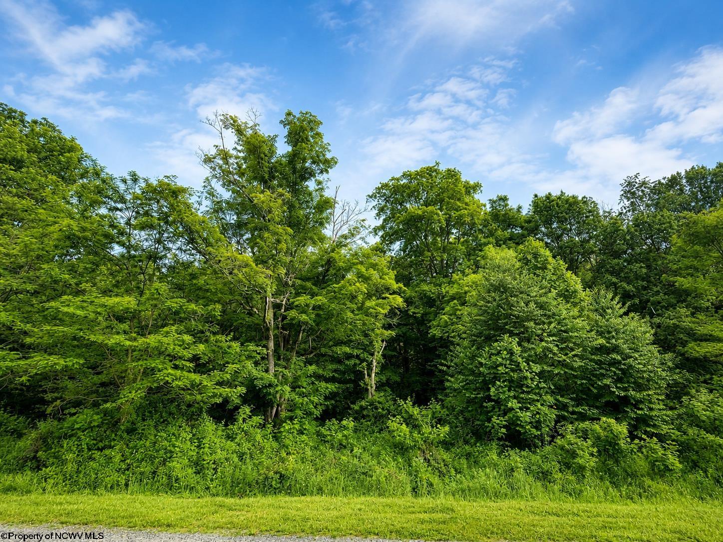 Land in Dryfork