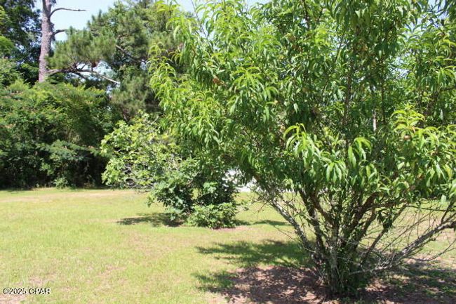 2100 Third Ave, House other with 3 bedrooms, 3 bathrooms and null parking in Sneads FL | Image 20