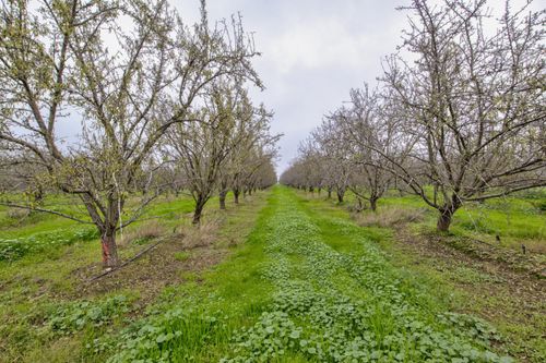 1941 Dietz Rd, Earlimart, CA, 93219-9665 | Card Image