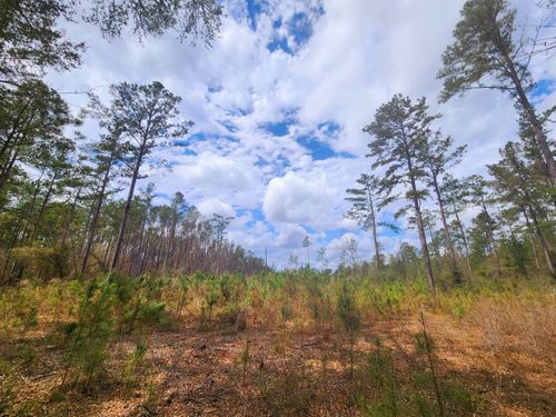 Lot 56 Sw Paradise Way, GREENVILLE, FL, 32331 | Card Image