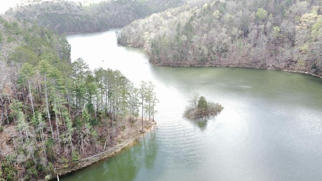 497 Jakes Landing Way S, Home with 3 bedrooms, 3 bathrooms and null parking in Ellijay GA | Image 60