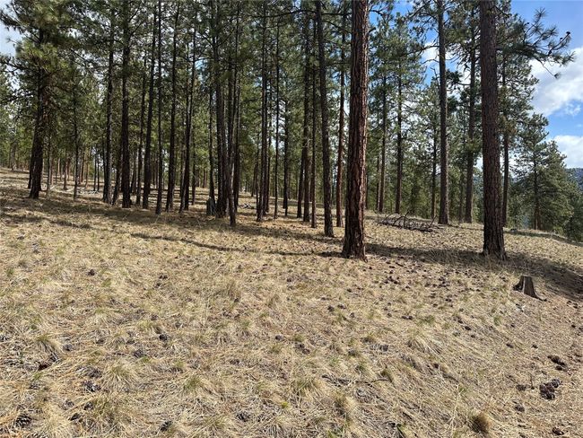 31760 Old Highway 10 W, Home with 0 bedrooms, 0 bathrooms and null parking in Alberton MT | Image 13