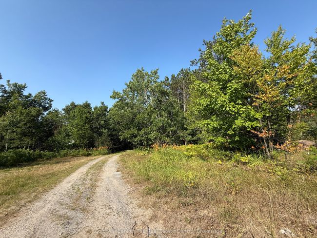 1087 Merkley Rd, House other with 3 bedrooms, 3 bathrooms and 10 parking in Gravenhurst ON | Image 15