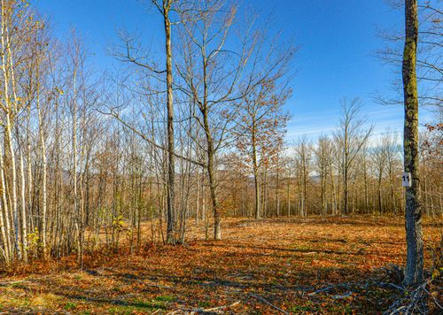 Lot 11 Mine Road, Stoneham, ME, 04231 | Card Image