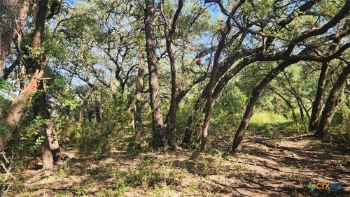 TBD County Road 326, Bertram, TX, 78605 | Card Image