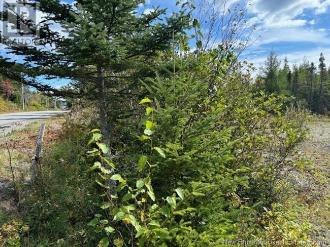 454 St Martins Rd, Home with 0 bedrooms, 0 bathrooms and null parking in Saint John NB | Image 18