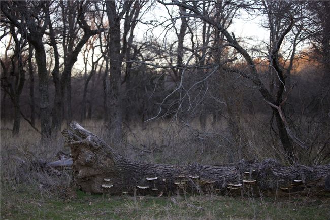View of nature | Image 9