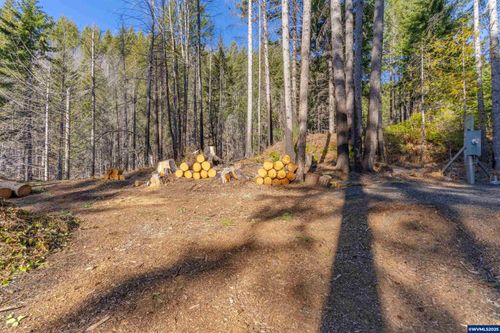 135 Weber St E, Detroit, OR, 97342 | Card Image