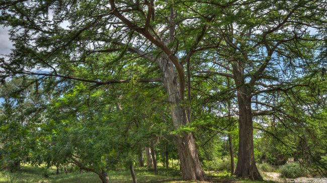 154 Weston Rd, House other with 1 bedrooms, 1 bathrooms and null parking in Leakey TX | Image 7