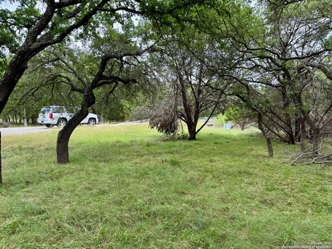 1187 Long Meadow, Home with 0 bedrooms, 0 bathrooms and null parking in Spring Branch TX | Image 19