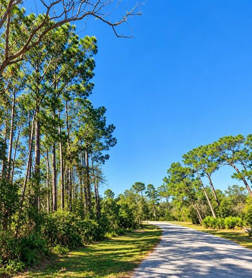 14364 Model Road, ORLANDO, FL, 32826 | Card Image