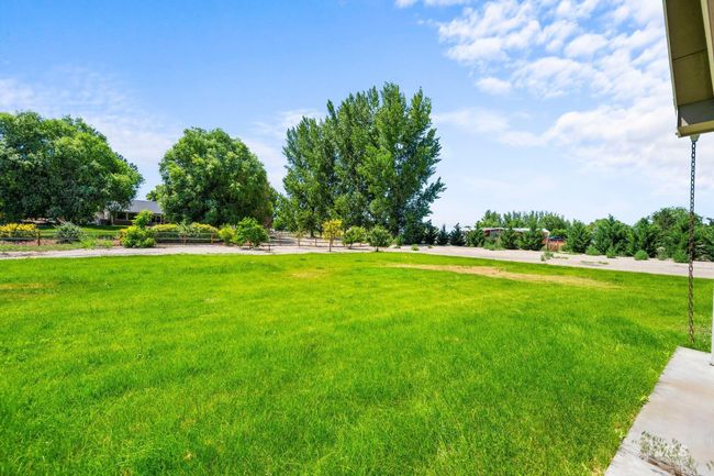 View of grassy yard | Image 33