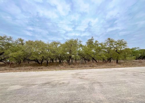 233 Palomino Trl, Natalia, TX, 78059-2651 | Card Image