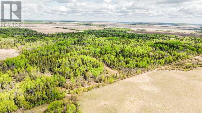 98196 Highway 681, Home with 0 bedrooms, 0 bathrooms and null parking in Rural Saddle Hills County AB | Image 16