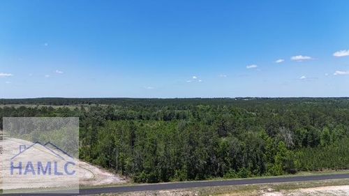 0 Oscar Tippins Road, Baxley, GA, 31513 | Card Image