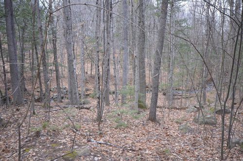 3 Damson Ln, Gilford, NH, 03249-7867 | Card Image