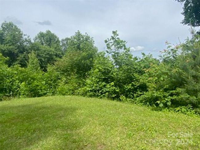 lot is currently overgrown | Image 9