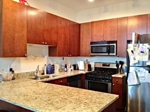 apt-1507-1464 S Michigan Ave, Chicago, IL, 60605-3636 | Card Image