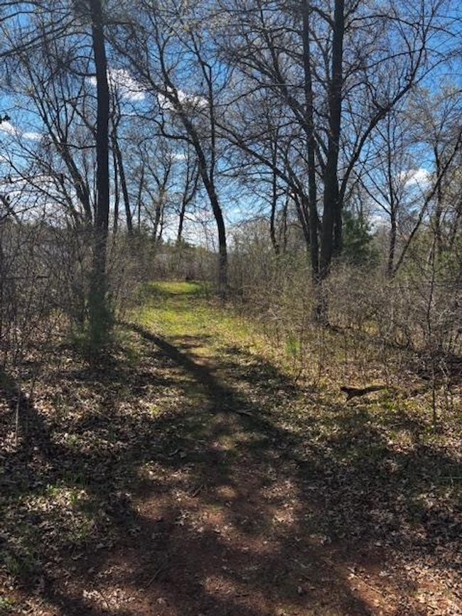 W5497 N Shore Dr, Home with 0 bedrooms, 0 bathrooms and null parking in New Lisbon WI | Image 8