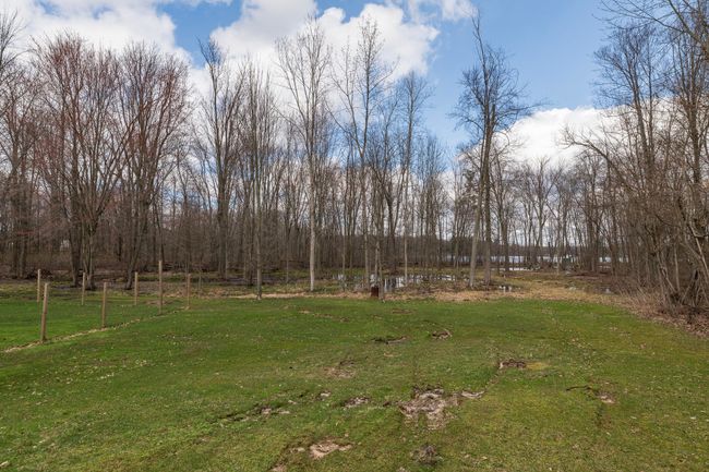 Backyard | Image 32
