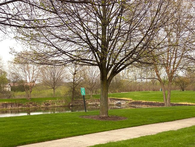 13207 - 13207 W Shannon Dr, Home with 2 bedrooms, 2 bathrooms and 4 parking in Beach Park IL | Image 23