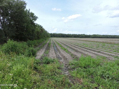 000 County Road 108, Bunnell, FL, 32110 | Card Image