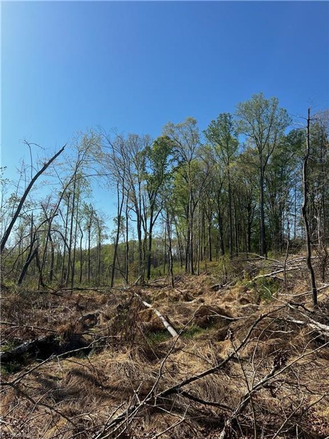 0 Jarvis Plantation Rd, Home with 0 bedrooms, 0 bathrooms and null parking in Dobson NC | Image 22