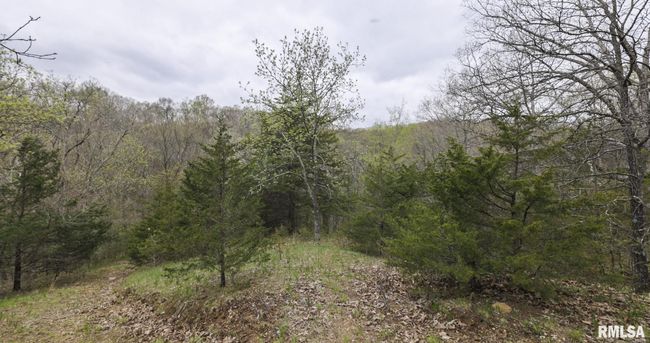 0 N Chambers Rd, Home with 0 bedrooms, 0 bathrooms and null parking in Smithfield IL | Image 34