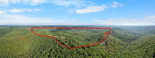 000 Pine Top Rd, Hollister, MO, 65672 | Card Image